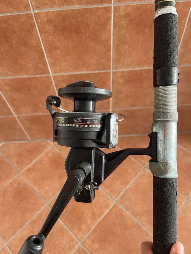 Caña de pescar con carrete Daiwa