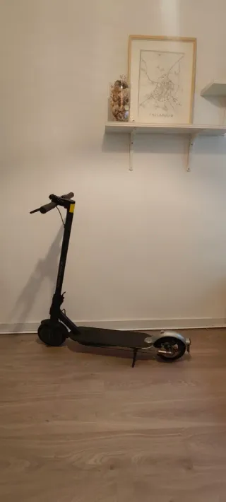 Patinete eléctrico plegable