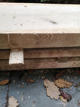 Tabla de roble 260mm ancho x 80mm grosor