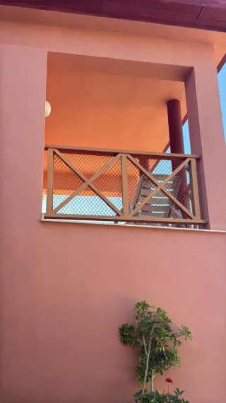 Pintores profesionales