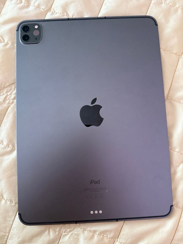 iPad Pro 11 3a Gen Grigio Siderale