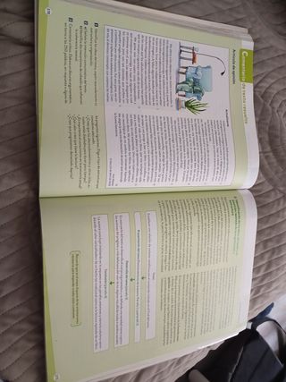 Lengua castellana y literatura 1 ANAYA 1 BACHILLER