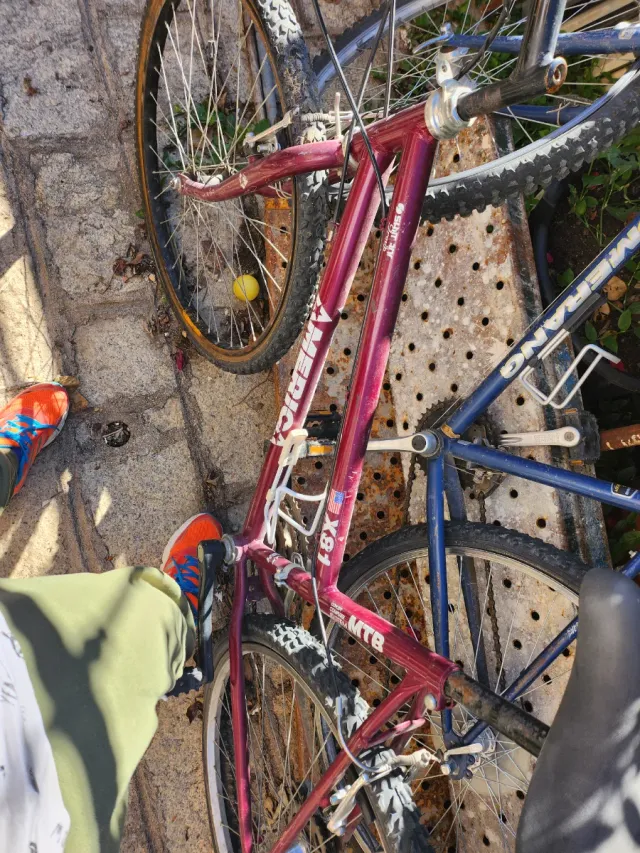 Bicicleta de Montaña America X91