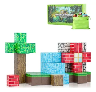 Blocchi di Costruzione Magnetici Module World