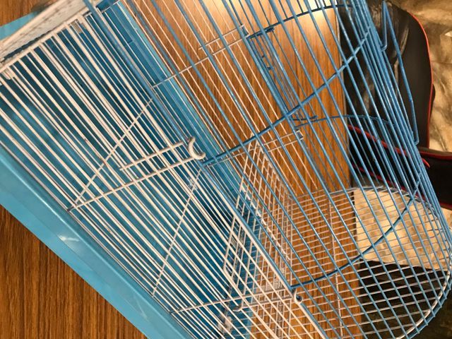 Casa para hámster azul y blanca