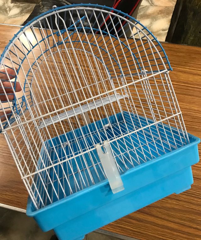 Casa para hámster azul y blanca