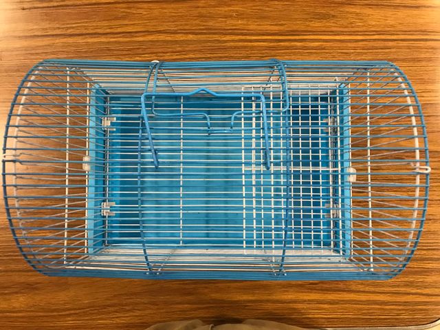 Casa para hámster azul y blanca