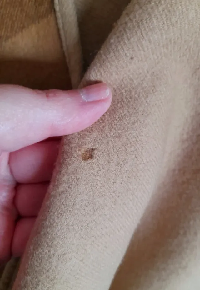 Capa Burberry Nova Check Beige y Marrón