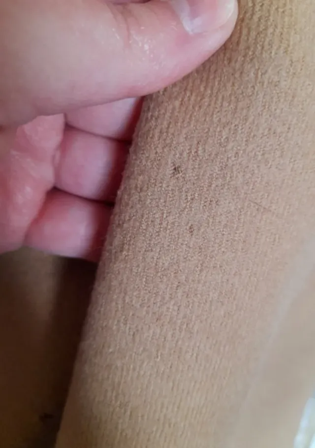 Capa Burberry Nova Check Beige y Marrón