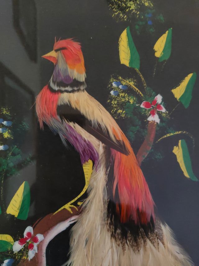 Cuadro Pájaro Plumas Marco Beige