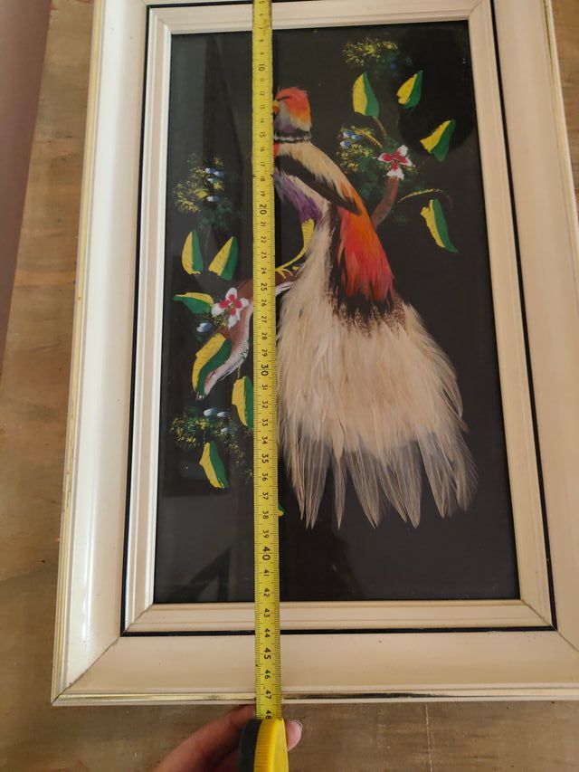 Cuadro Pájaro Plumas Marco Beige