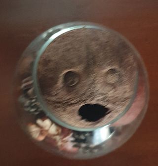 Vaso vetro con frutti secchi decorativi