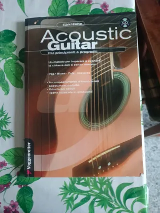 Acoustic Guitar