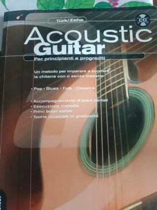 Acoustic Guitar