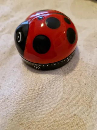 Timer da cucina a forma di coccinella