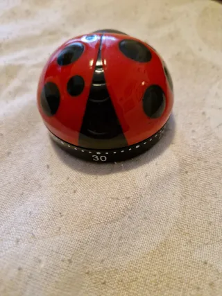 Timer da cucina a forma di coccinella