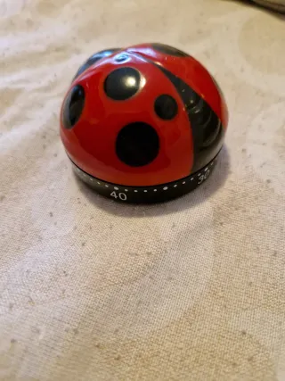 Timer da cucina a forma di coccinella