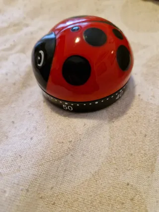 Timer da cucina a forma di coccinella