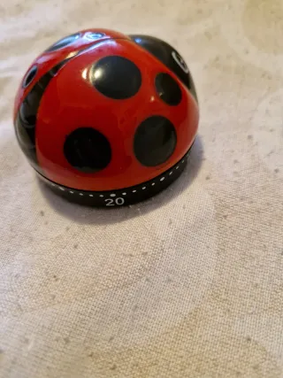 Timer da cucina a forma di coccinella