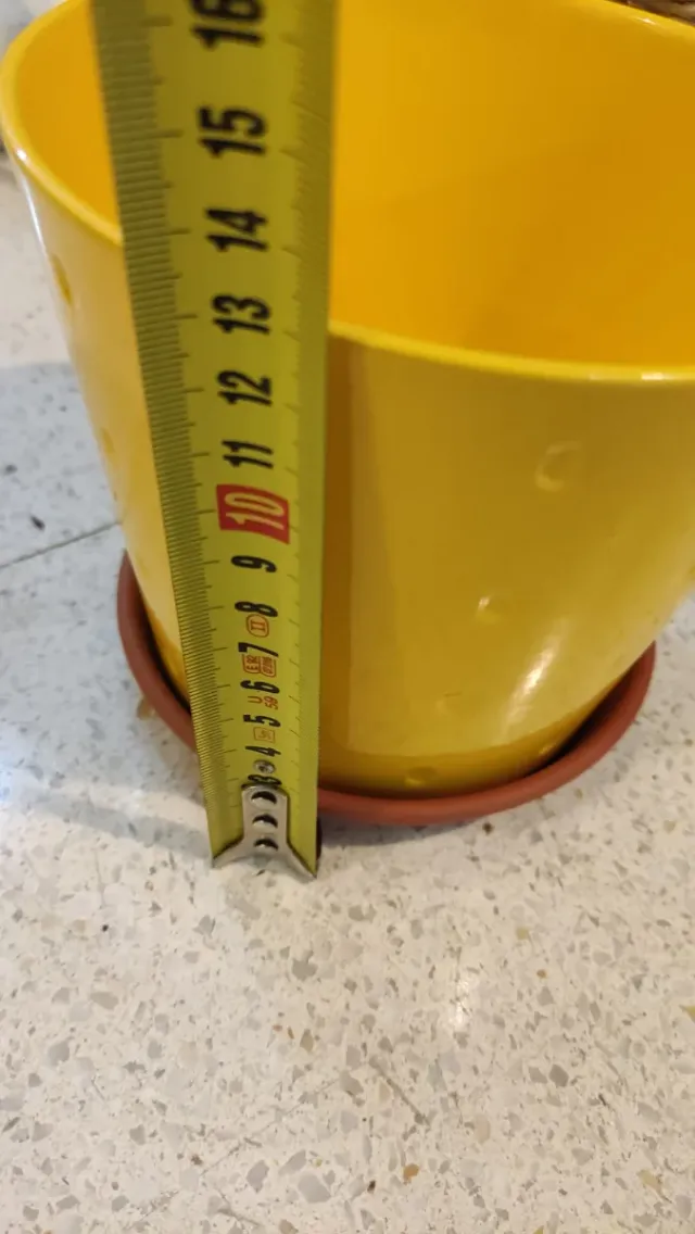 Maceta amarilla de cerámica con platillo