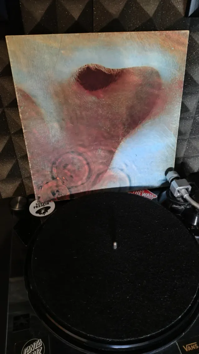 Vinile Pink Floyd middle