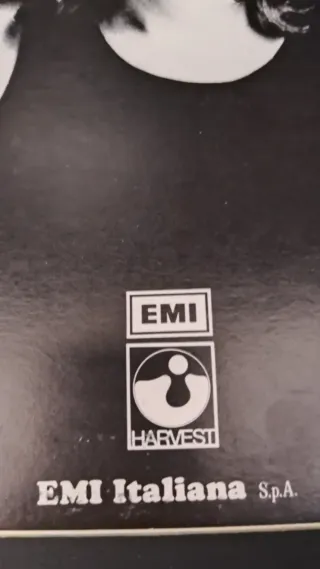 Vinile Pink Floyd middle