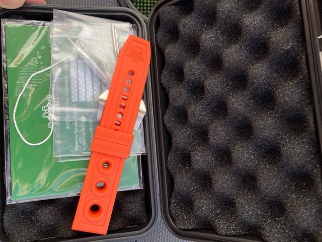 Reloj Diver Steeldive Bronze Espectacular