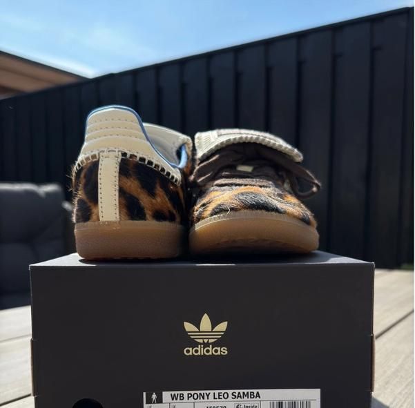 W݉ales B݉onner x adid݉as S݉amb݉a size 42