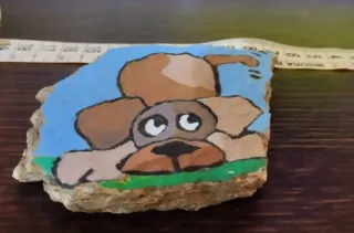 Pietre dipinte a mano con animali