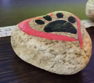 Pietre dipinte a mano con animali