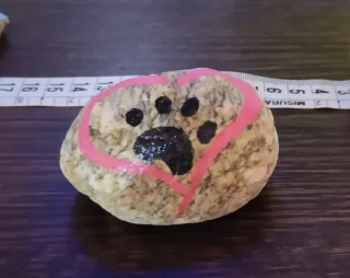 Pietre dipinte a mano con animali