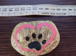 Pietre dipinte a mano con animali