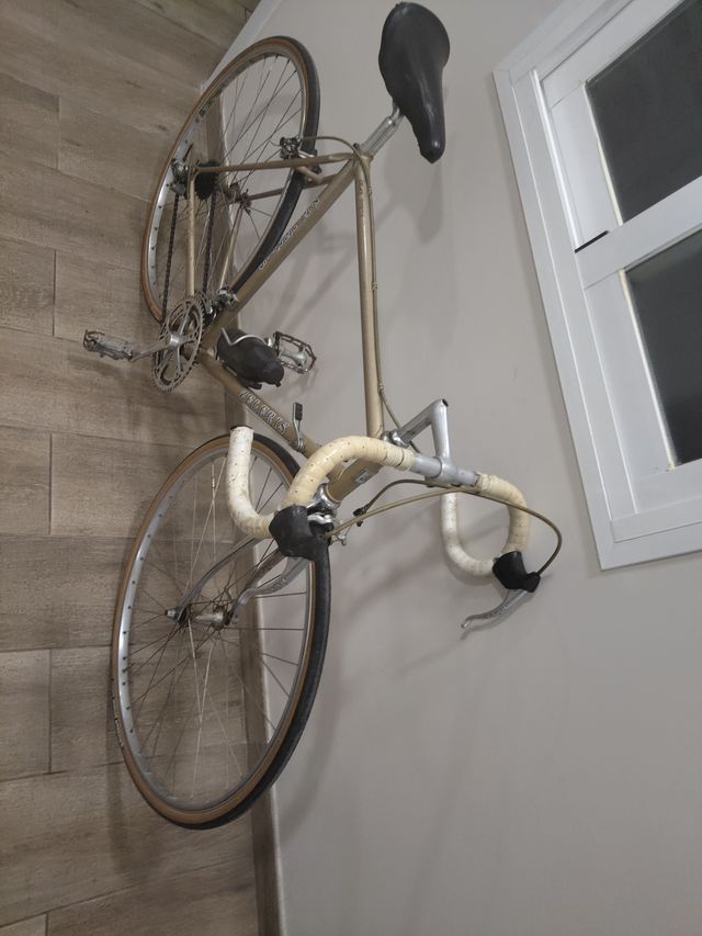 Bicicleta Zeleris Acero Clásica