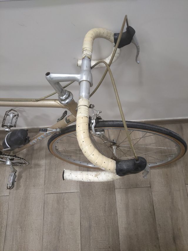 Bicicleta Zeleris Acero Clásica