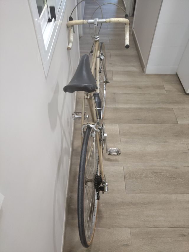 Bicicleta Zeleris Acero Clásica