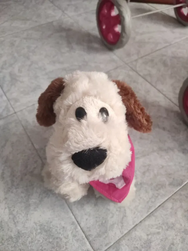 Passeggino giocattolo, cuccia e cagnolino