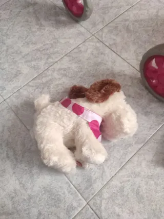 Passeggino giocattolo, cuccia e cagnolino