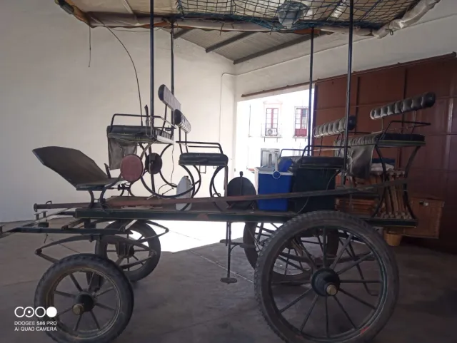 Carro de doma 9/12 plazas