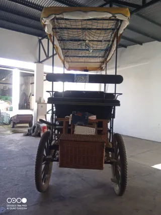Carro de doma 9/12 plazas