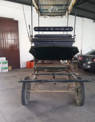 Carro de doma 9/12 plazas