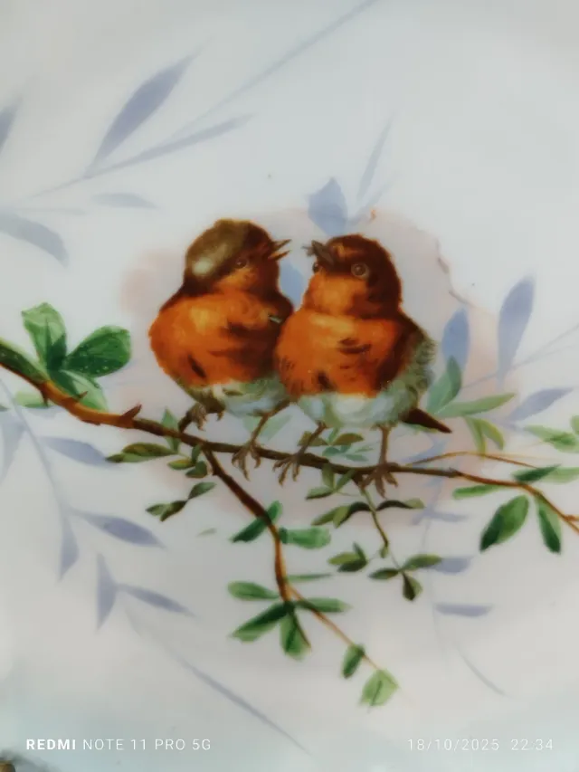 Prato de porcelana vintage com pássaros