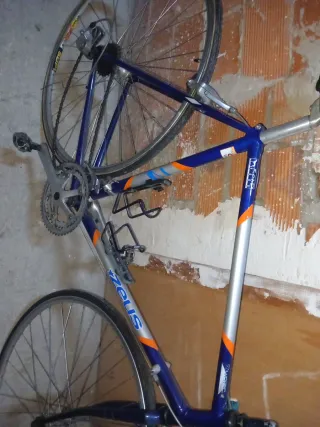 Bicicleta Zeus Vintage