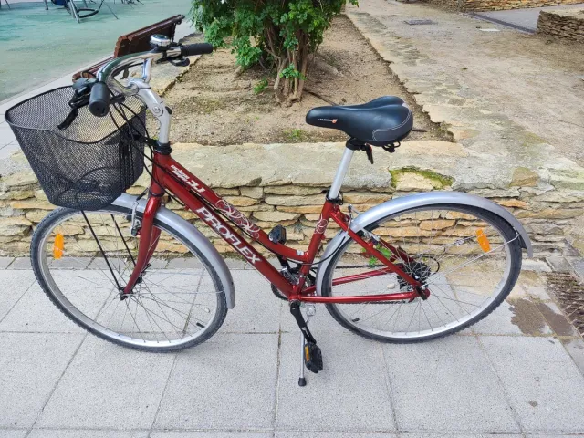 Bicicleta Proflex Talla M Urbana