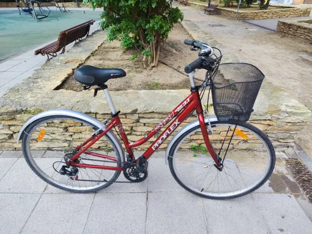 Bicicleta Proflex Talla M Urbana
