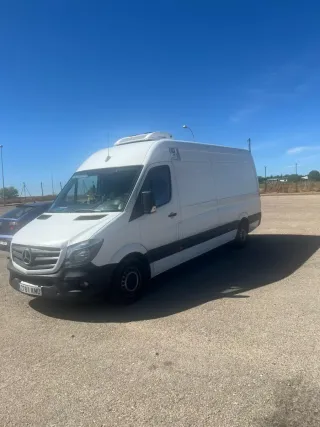 Portes,mudanzas,congelado,refrigerado.