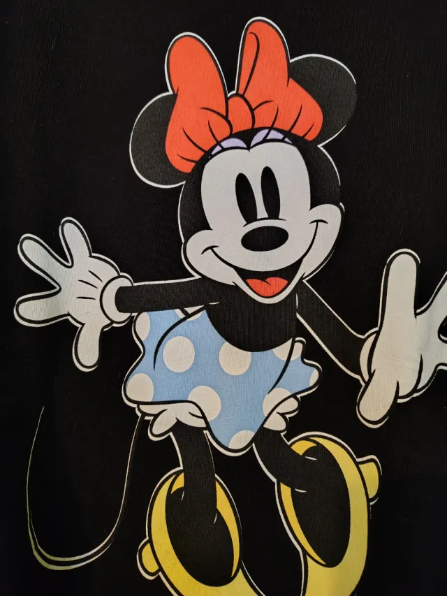 Pack 2 sudaderas Disney Mickey y Minnie