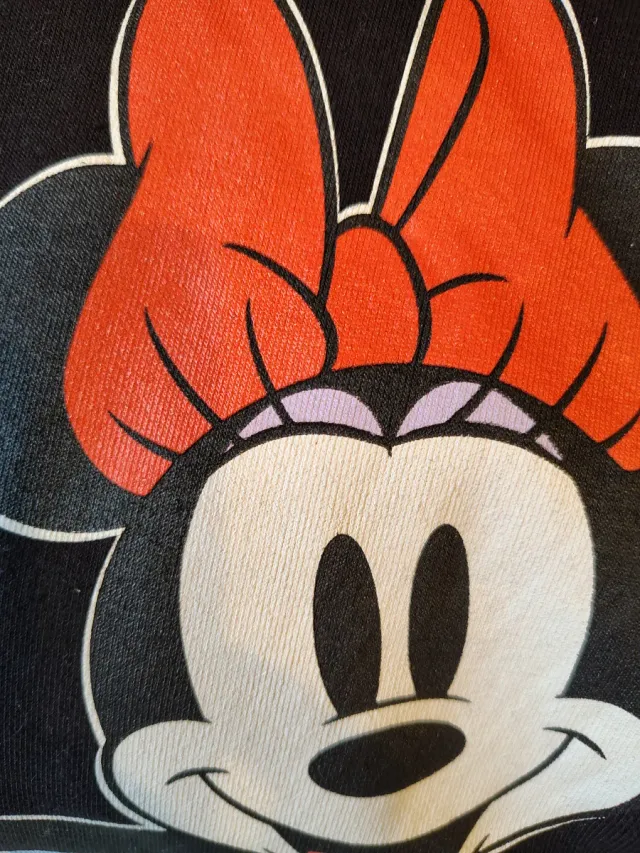 Pack 2 sudaderas Disney Mickey y Minnie