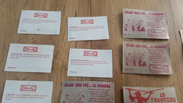 Lote cromos Panrico variado