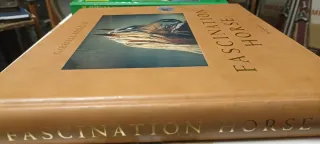 Cavalli. Ediz. illustrata