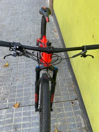 Bicicleta FOCUS Raven